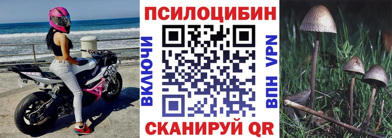 mega tor Малоярославец Псилоцибиновые грибы прущие грибы